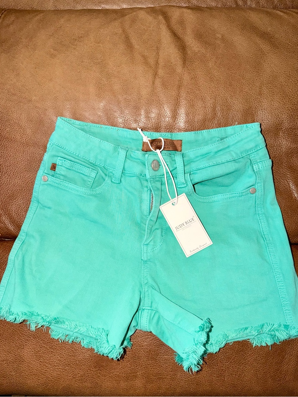 Judy Blue Mint Teal Frayed Hem Women's Jean Shorts